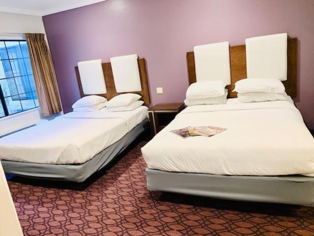 Family Suite interior