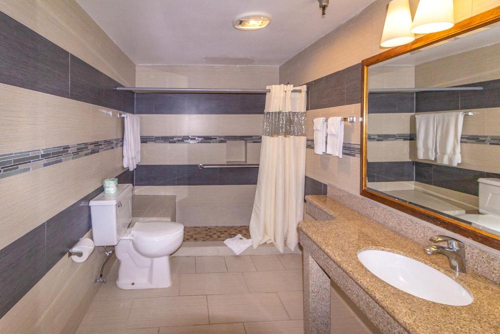 Single Room - Disability Access interior